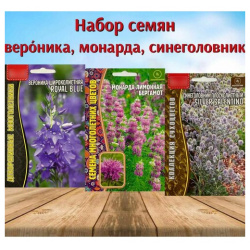 Семена цветов для сада Вероника Монарда Синеголовник 3 уп  Нет бренда