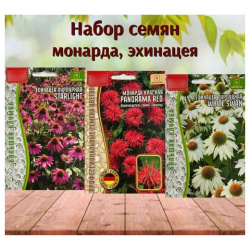 Семена многолетних цветов Эхинацея и Монарда набор 3 уп  Нет бренда В наборе