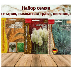 Семена многолетних растений для сада Сетария Овсяница Пампасная трава набор 3 уп  Нет бренда