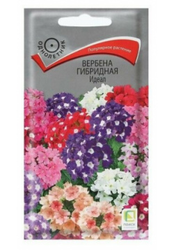 Семена цветов Вербена "Гибридная Идеал" 0 2 г ПОИСК 