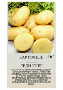 Картофель семенной клубни для посадки Нет бренда 