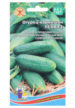 Семена Огурец "Лёня"  10 шт (комплект из 50 шт) Уральский дачник