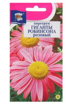 Семена цветов Пиретрум "Гиганты Робинсона"  Розовый 0 05 г (комплект из 80 шт) Урожай удачи