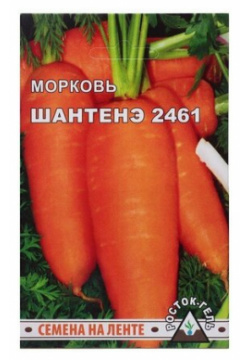 Семена моркови "Шантанэ 2461" (комплект из 70 шт) РОСТОК ГЕЛЬ