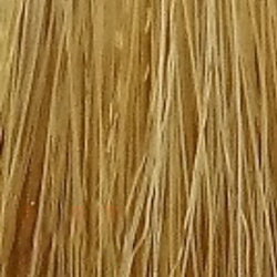 Стойкая крем краска для волос Aurora (54834  0 33 золотой микс тон 60 мл Коллекция тонов) Cutrin (Финляндия) 54739