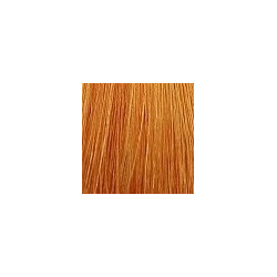 Крем краска для волос Color Explosion (386 8/43  8/34 Медно золот блондин 60 мл Базовые оттенки) CEHKO (Германия) 386 00/0C