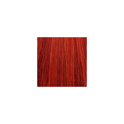 Крем краска для волос Color Explosion (386 8/5  Светлый чили 60 мл Оттенки Чили) CEHKO (Германия) 386 00/0C