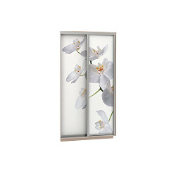 Комплект из 2 дверей Фото 160 Белая орхидея  Н220 Браво