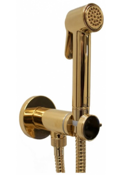 Гигиенический душ Bossini Paloma Brass E37005B 021 со смесителем  золотой