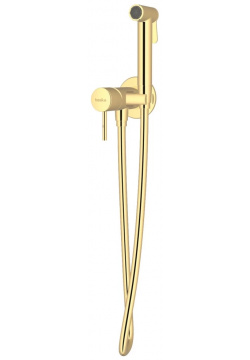 Гигиенический душ Teska Pulito BTK6801 со смесителем  золотой