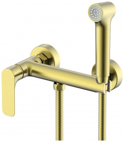 Гигиенический душ Raglo R03 51 03 со смесителем  золотой матовый