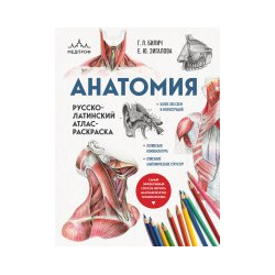 Анатомия: русско латинский атлас раскраска (новое оформление  новый формат) Эксмо 9785041738570