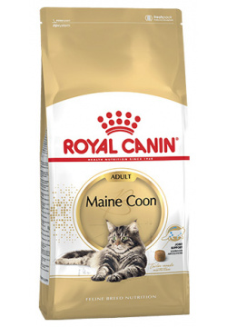 Royal Canin Breed cat Maine Coon / Сухой корм Роял Канин для Взрослых кошек породы Мэйн Кун старше 15 месяцев 25501000R0