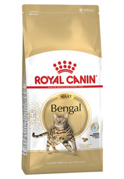 Royal Canin Breed cat Bengal / Сухой корм Роял Канин для Бенгальских кошек старше 1 года 43700200R0