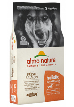 Almo Nature Holistic Large Adult Salmon / Сухой корм Алмо Натюр Холистик для взрослых собак Крупных пород с Лососем 10154