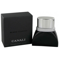 Black Diamond Canali 
