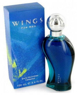 Wings for Men Giorgio Beverly Hills 