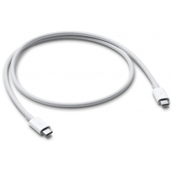 Кабель Apple Thunderbolt 3 USB C /  A 100Вт 0 8м белый MQ4H2ZM/A