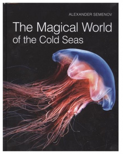 The Magical World of Cold Seas Паулсен 9785987971314 