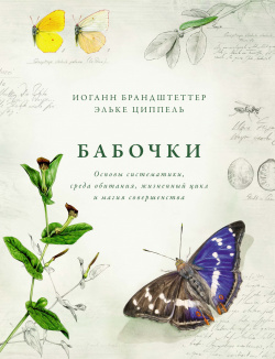 Бабочки  Основы систематики среда обитания жизненный цикл и магия совершенства КоЛибри 9785389177277
