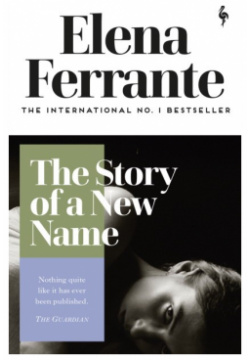 The Story of a New Name  Book Two Neapolitan Quartet Europa Editions 9781787702233
