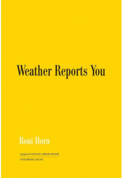 Roni Horn: Weather Reports You Steidl 9783958299108 