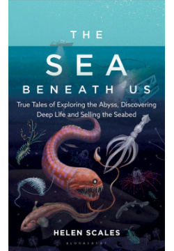 The Brilliant Abyss  True Tales of Exploring Deep Sea Discovering Hidden Life Bloomsbury 9781472966865