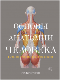 Основы анатомии человека  Наглядное руководство для художников КоЛибри 9785389128613