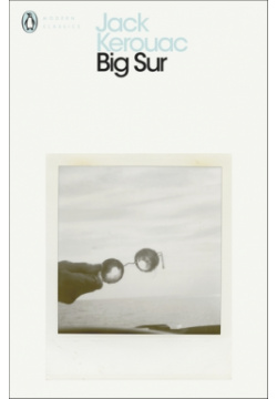 Big Sur Penguin 9780141198255 
