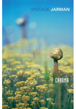 Chroma: A Book of Colour Random House US 9780099474913 