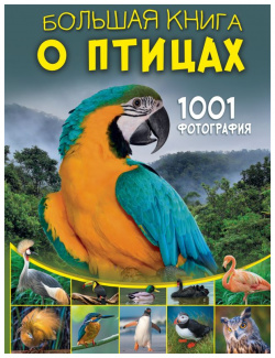 Большая книга о птицах  1001 фотография АСТ 9785171660376 Чтобы увидеть редких