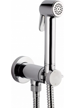 Гигиенический душ Bossini Paloma Brass Mixer Set со смесителем E37005B 030 