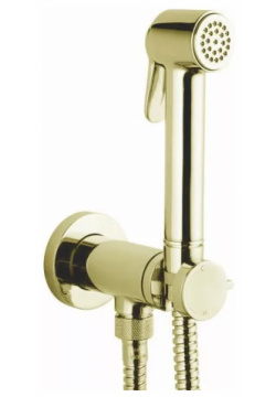 Гигиенический душ Bossini Paloma Brass Mixer Set со смесителем золото E37005B 021 