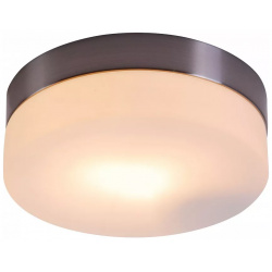 Потолочный светильник Globo Opal 48401 