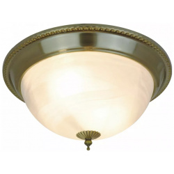 Потолочный светильник Arte Lamp 16 A1305PL 2AB 