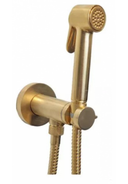 BOSSINI (PALOMA BRASS) Комплект гигиенический: прогрессивный смеситель  лейка с клапаном подачи воды шланг 1250 мм сатинированное золото (043) E37005B 043