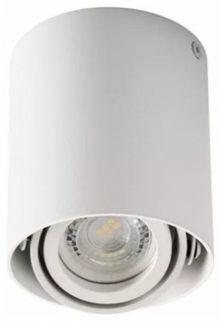 Накладной точечный светильник Kanlux TOLEO DTO50 W 26111 