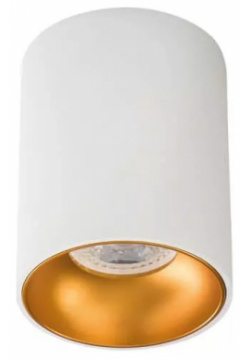Накладной точечный светильник Kanlux RITI GU10 W/G 27570 
