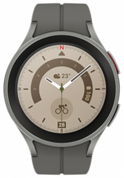 Умные часы  Samsung Galaxy Watch5 Pro серый титан (SM R920NZTACIS)