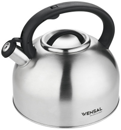 Чайник для плиты Vensal VS3003 Maitre 