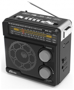 Радиоприёмник Ritmix RPR 202 черный 