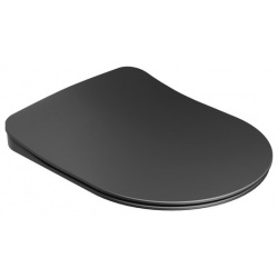 Сиденье для унитаза Ravak Uni Chrome Flat чёрный (X01795) 