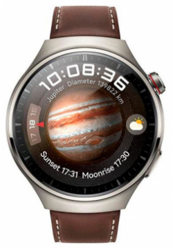 Умные часы Huawei Watch 4 Pro MDS AL00 Titanium Brown Strap 55020APB 