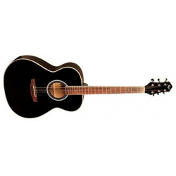 Акустическая гитара Flight  AG 210 Black