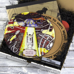 Подарочный набор с виниловой пластинкой Audiomania  аксессуарами ВИНИЛОВОД Linkin Park
