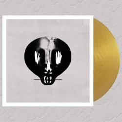 Bullet For My Valentine  (limited Colour Gold)