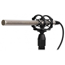 Микрофон для видеосъёмок RODE  NTG 3 Silver