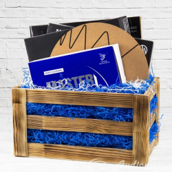 VIP подарок Audiomania  Подарочный набор по уходу за винилом VINYL CLEANING BOX с виниловой пластинкой DEPECHE MODE