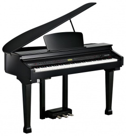 Цифровое пианино Kurzweil  Цифровой рояль KAG100 Ebony Polish Компактный