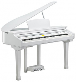 Цифровое пианино Kurzweil  Цифровой рояль KAG100 White Polish Компактный